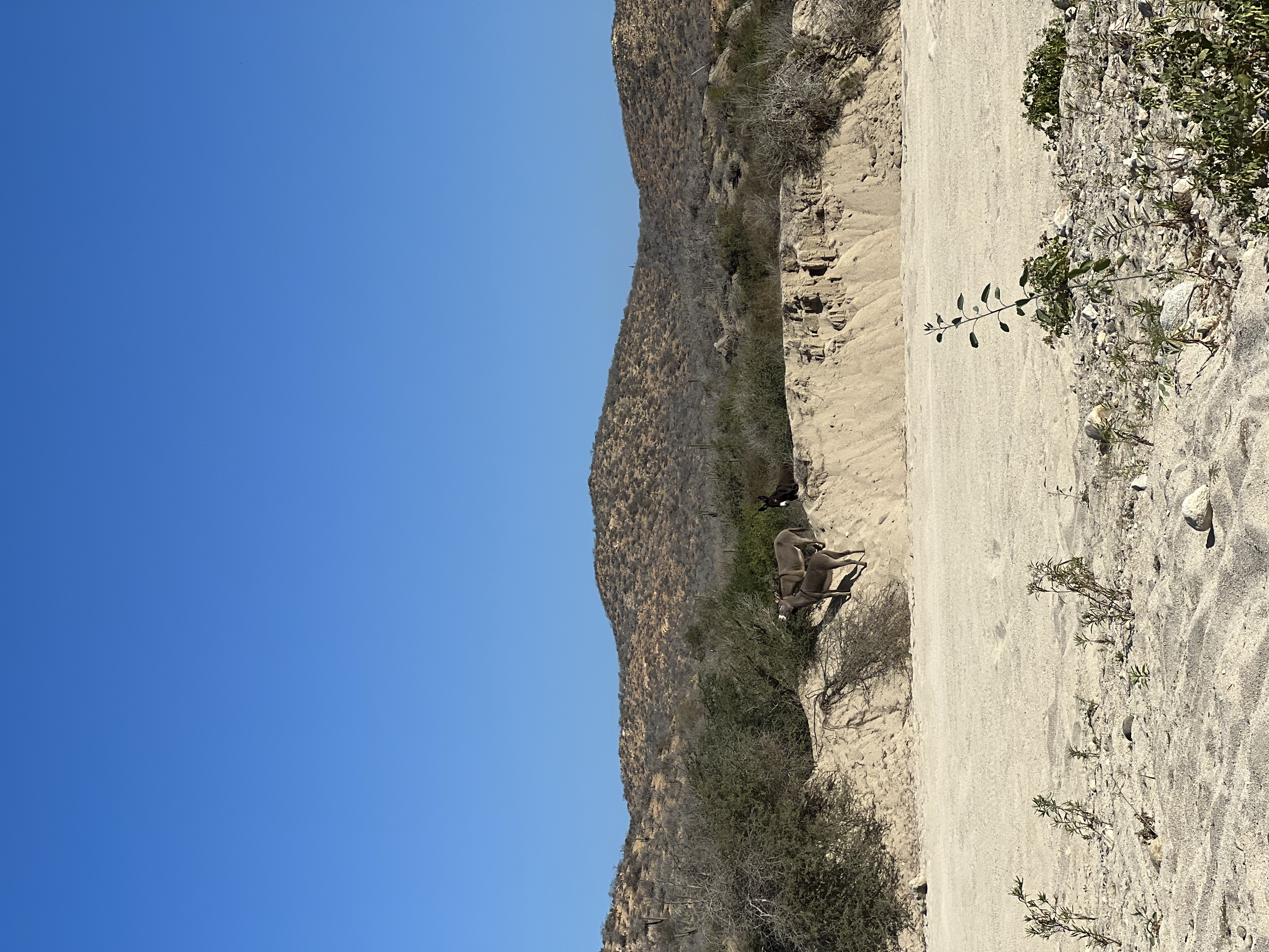 ./2024/13 - Cabo/IMG_4481.jpg